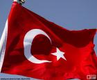 Флаг Турции, образованный Убывающая луна и звезды белого на красном фоне